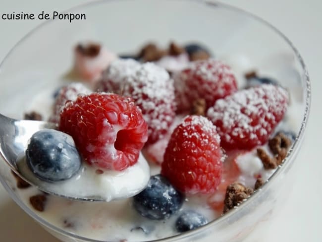 Yaourt aux fruits des bois au sirop de gingembre