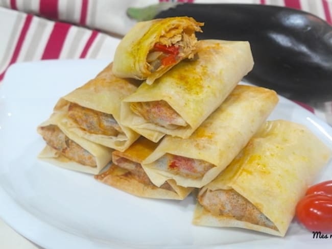 Ballotin de brick au poulet et légumes épicés