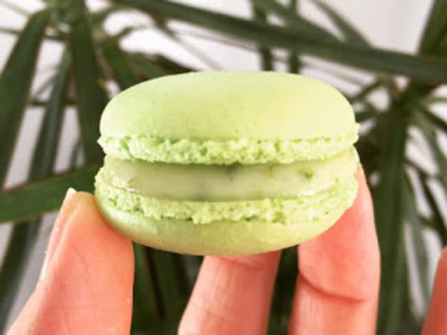 Macarons Citron-vert, Basilic de Christophe Felder