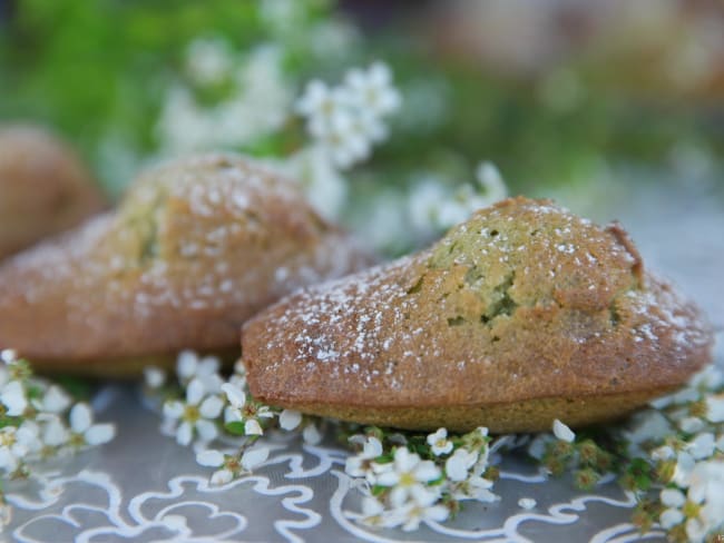 Madeleines légères au thé matcha avec une belle bosse