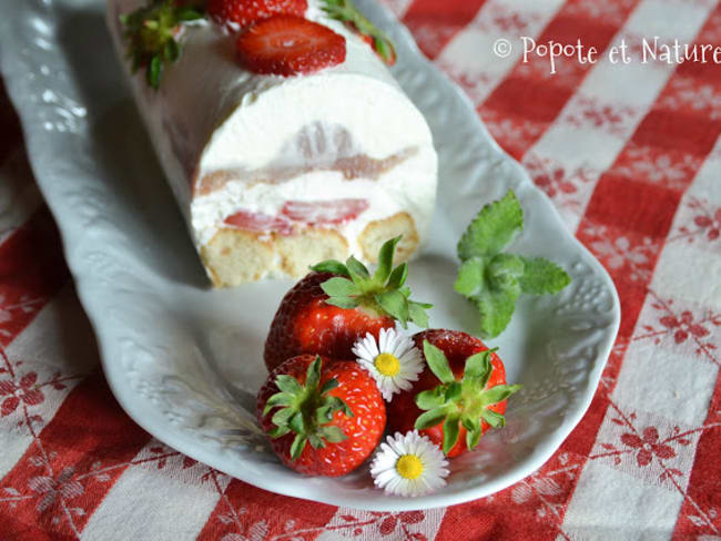 Bûche glacée à la rhubarbe et aux fraises