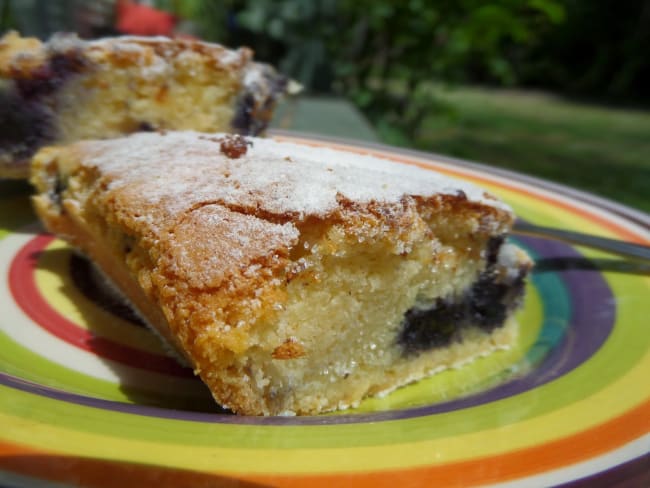 Carrés au chocolat blanc et aux myrtilles