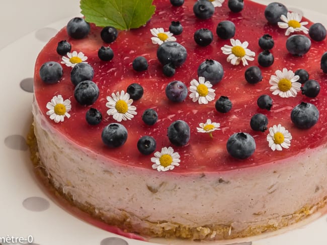 Cheesecake à la rhubarbe et aux framboises