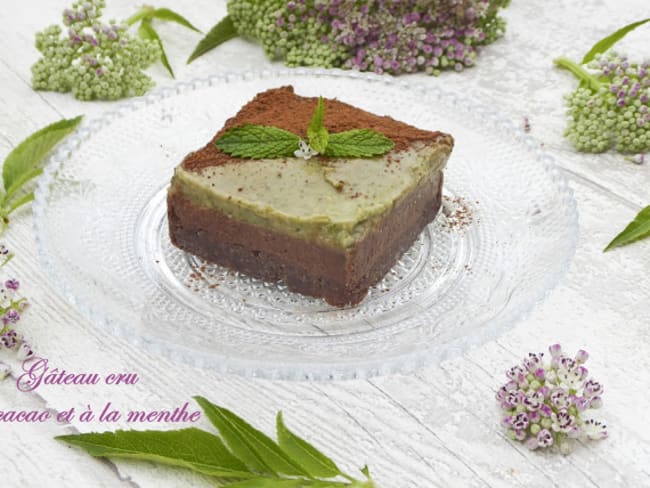 Gâteau crémeux original au cacao et à la menthe