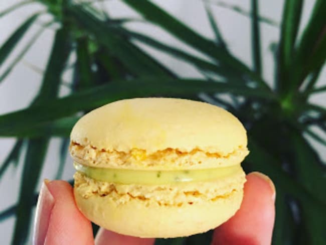 Macarons citron, sauge ananas