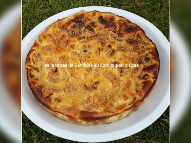 Gâteau fondant aux abricots et à la poudre d'amande