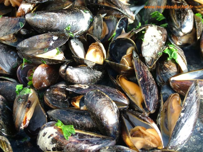 Moules à la plancha du barbecue