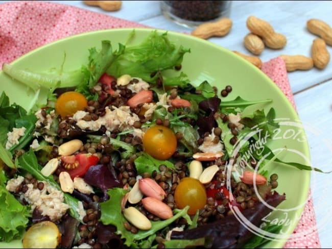 Salade de thon aux lentilles vertes et cacahuètes