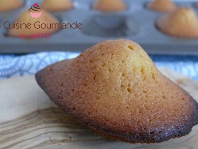 Madeleines au miel de garrigue