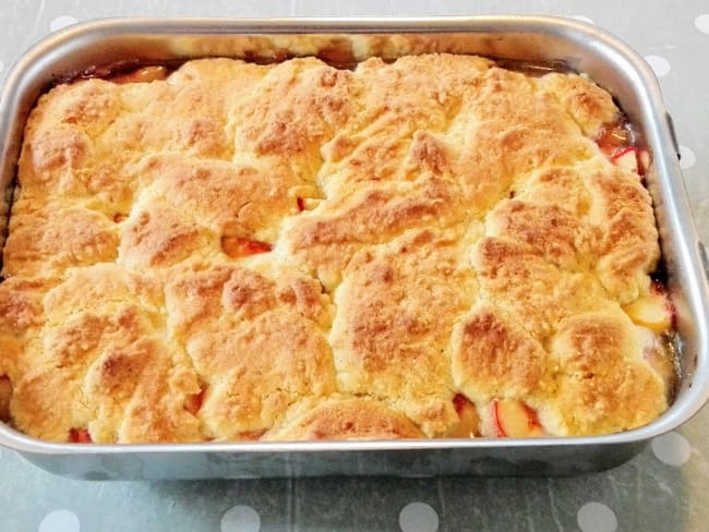 Cobbler aux pêches de vigne et rhubarbe