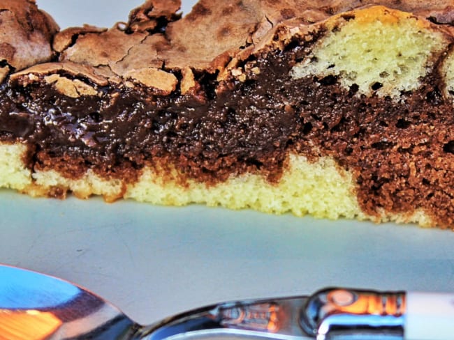 Gâteau marbré et fondant au Nutella