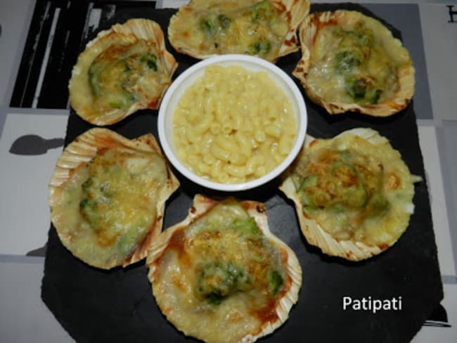 Coquillage de cornettes au brocoli