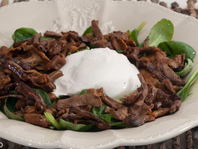 Salade de mâche, girolles et burrata