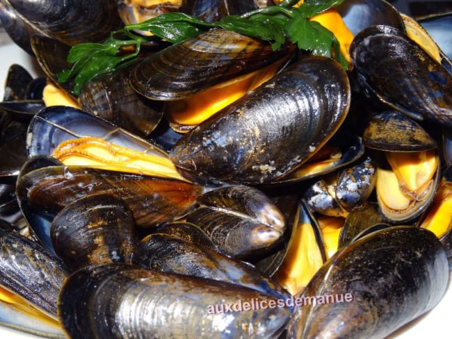 Moules de bouchot marinières à accompagner de frites