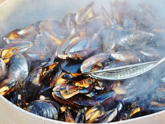 Moules de bouchot au cidre comme en Normandie