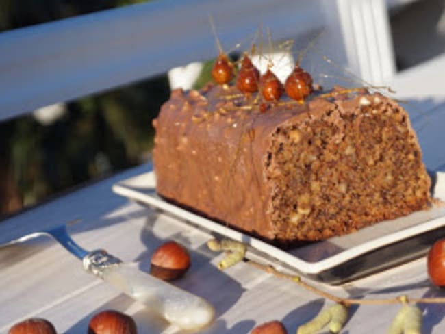 Cake aux noisettes glacé au chocolat