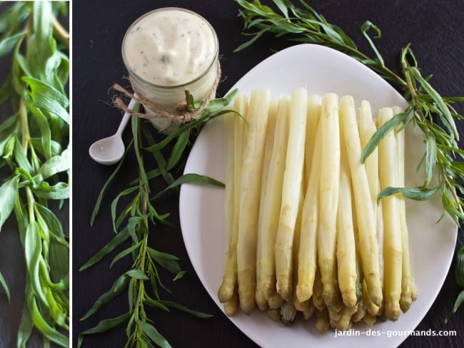 Asperges violettes, sauce Mousseline à l'estragon