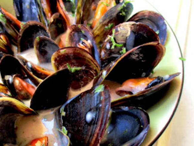 Moules à la Thaï / basilic & citronnelle