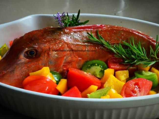 Rouget grondin au vin blanc, cuisson au four