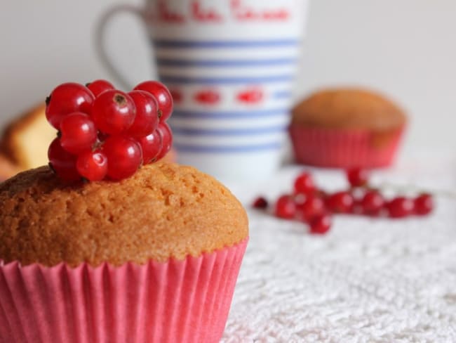 Muffins chocolat blanc et cranberries