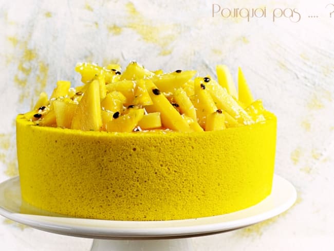 Gat-Ô mangue, ananas, noix de coco et passion