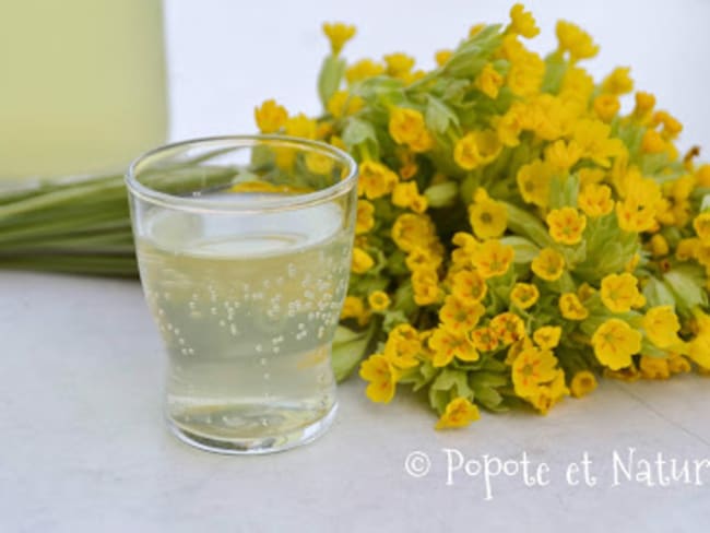 Limonade aux fleurs de coucou