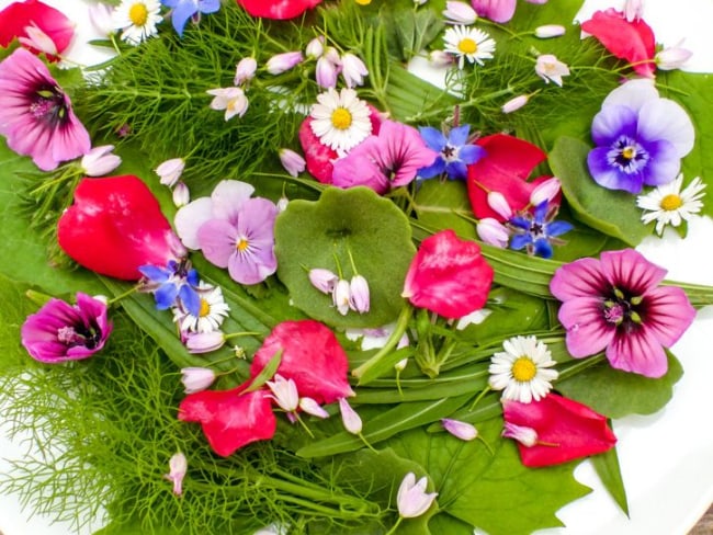 Salade sauvage aux fleurs comestibles