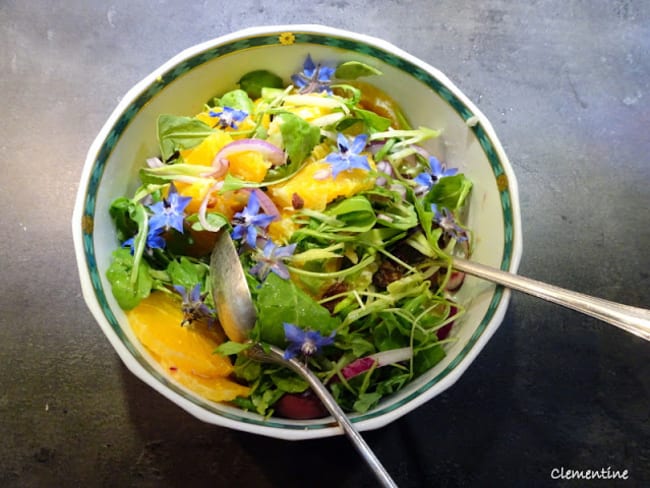 Salade d'oranges et fenouil avec vinaigrette à l'harissa