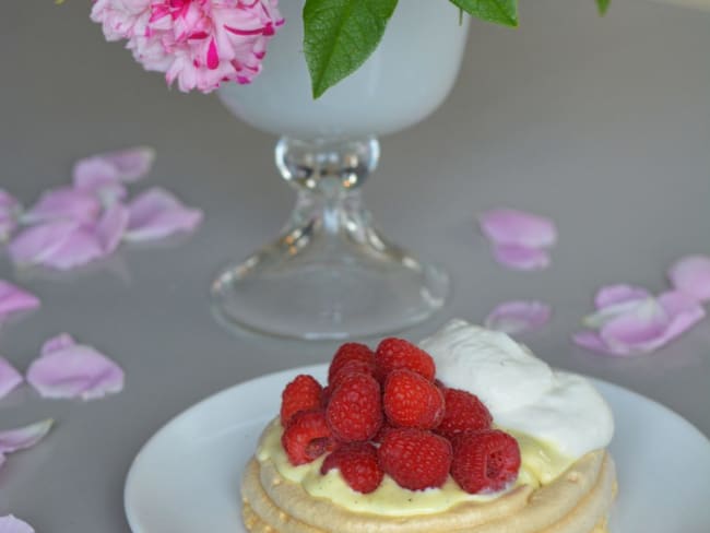 Pavlova glacé à la vanille et aux framboises