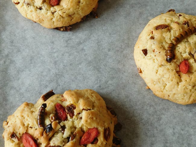 Cookies aux vers morio et baies de Goji