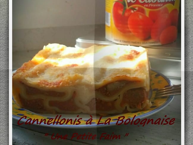 Cannellonis à la bolognaise