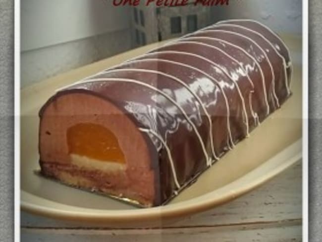 Bûche bavaroise au chocolat et mandarine