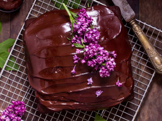 Gâteau au chocolat vegan facile et moelleux
