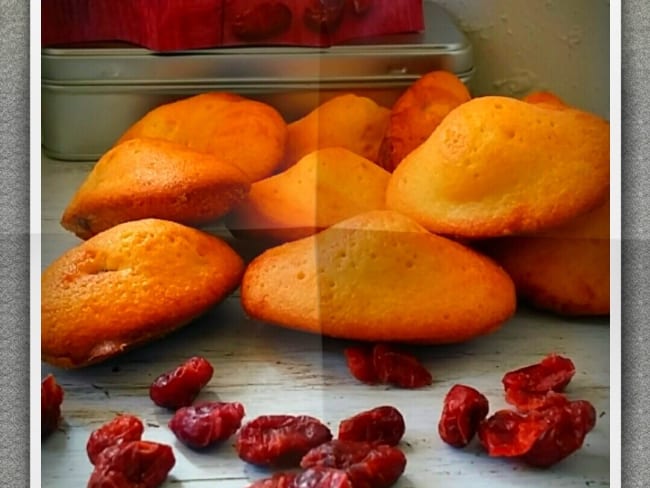 Madeleines aux canneberges