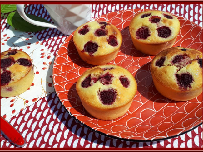 Petits moelleux aux framboises