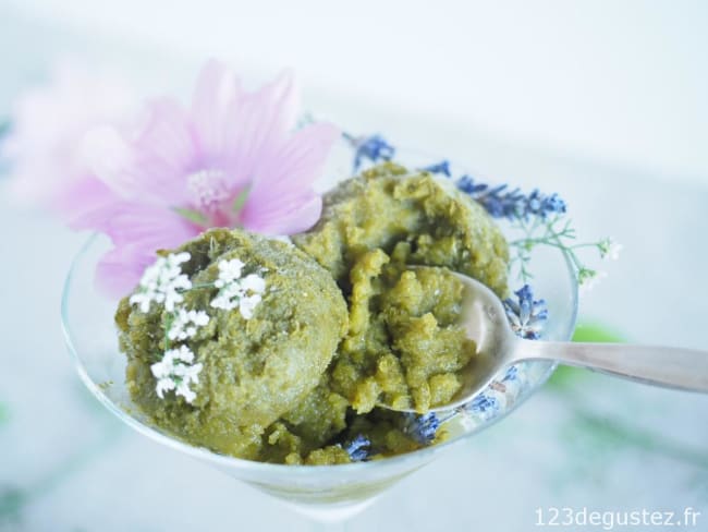 Sorbet aux herbes selon Régis Marcon