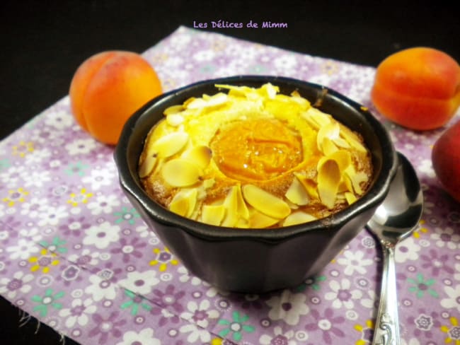 Moelleux aux abricots et aux amandes