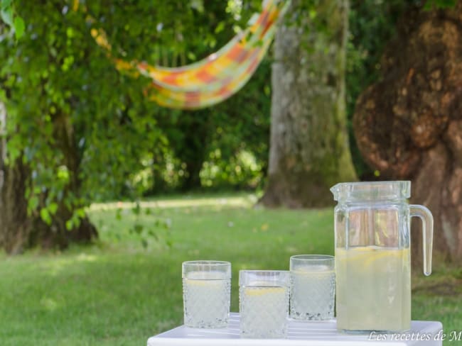 Citronnade maison bien fraîche