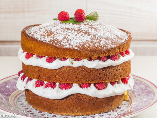 Gâteau gourmand aux framboises