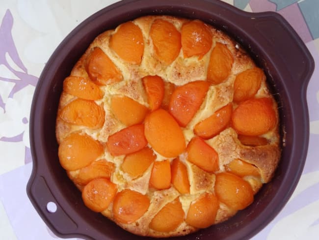 Gâteau aux abricots à la ricotta