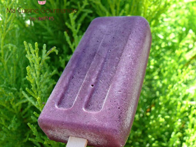 Glace légère et crémeuse à la mûre