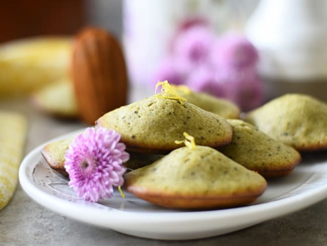 Madeleines matcha et citron