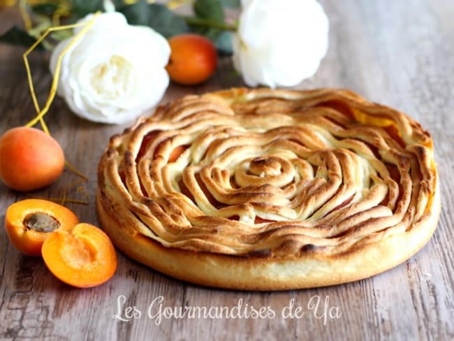 Tarte torsade abricot