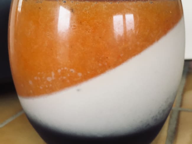 Panna Cotta – Kaki