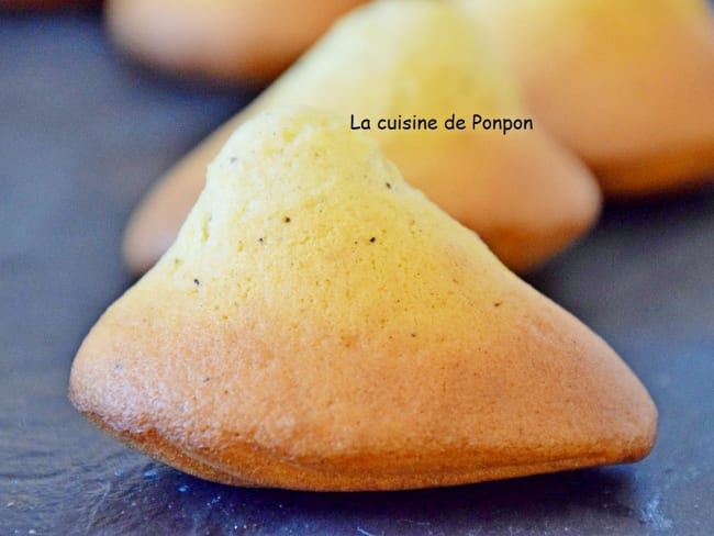 Madeleine à bosse à la fleur d'oranger