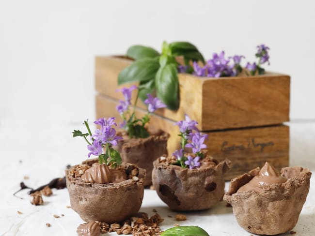 Mousse et muesli croustillant au chocolat