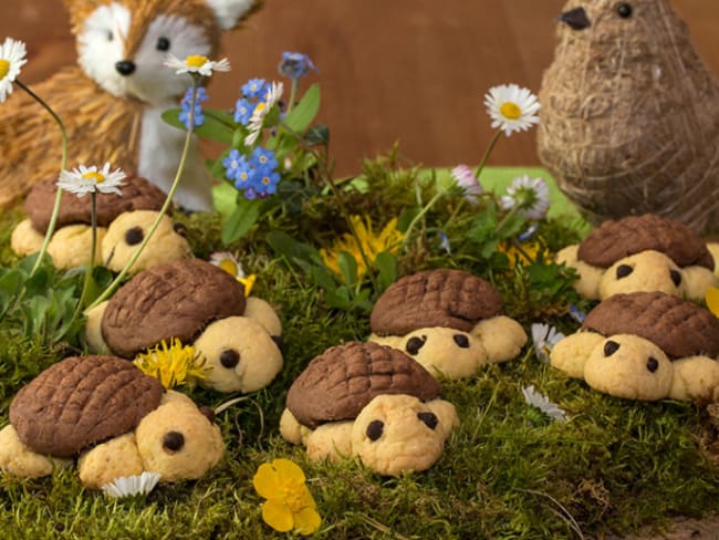 Biscuits tortue pour cuisiner avec les enfants