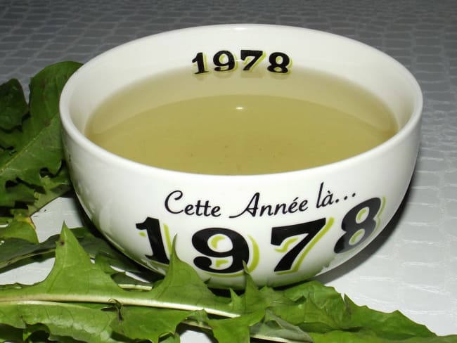 Tisane coupe-faim aux racines de pissenlit