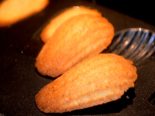 Les Madeleines de Proust