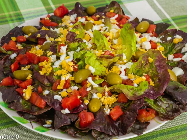 Laitue en salade, tomates, olives et oeufs